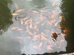 -永康小长城