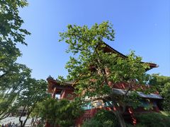 -华清宫景区