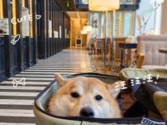 -北京康莱德酒店-Chapter餐厅