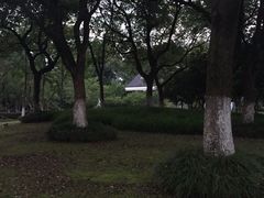 -上海市保健医疗中心