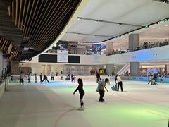 -TheRink大零溜冰场(IFS国金中心店)