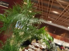 -兴芮温泉度假区