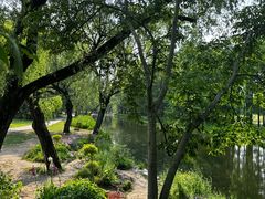 -上海共青森林公园