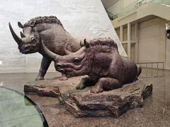 -大庆市博物馆