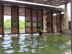 -春晖园度假酒店温泉