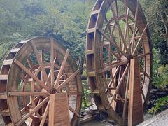 -广州白江湖森林公园