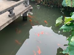 -丝绸小镇荻港古村