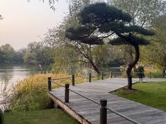 -新荣记(西溪湿地店)