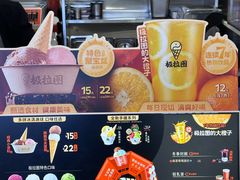 -极拉图·现制冰淇淋(大卫城店)
