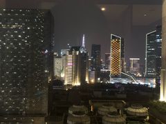 -成都明宇丽雅饭店