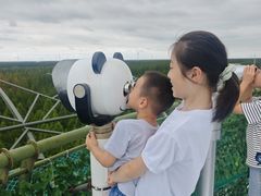 -黄海国家森林公园