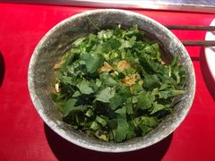 -二荆条·蜀鲜汇城市森林火锅