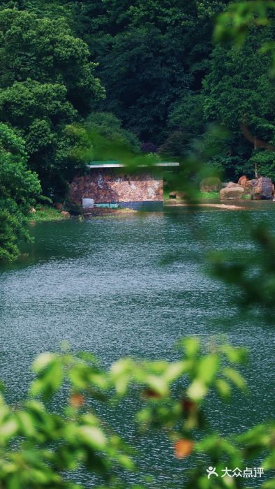 桃花岭景区图片