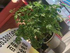 -伊斯麦尔丝路·新派菜(沙子口店)