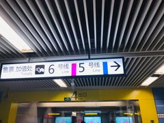 -大龙山(地铁站)