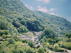 -雁南飞茶田景区