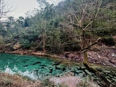 -雁荡山风景名胜区