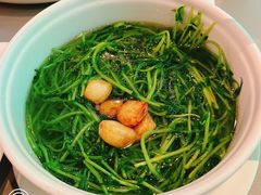 -桂满陇·杭州小馆(巴黎春天浦建店)