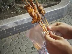 -高原第一家资格烤羊肉(玉林南路总店)