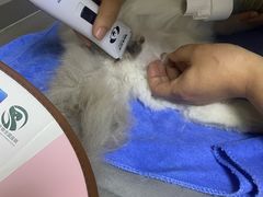 -瑞派蒂凯宠物医院·心脏科·口腔科·皮肤科