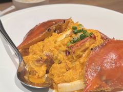 -连鹭海鲜·海肠捞饭·海胆饭(星海店)