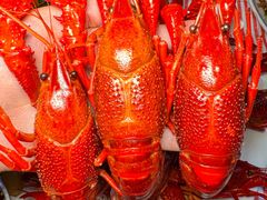 -二钳洞庭虾蟹·江湖菜(成都鹭岛店)