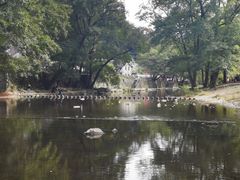 -鹿亭中村