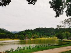 -国恩寺