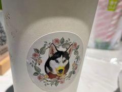 -Husky Go! 哈士奇体验馆·宠物咖啡厅狗咖