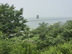 -贡湖湾湿地公园