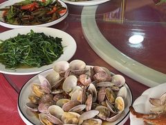 -罗源湾8号渔排