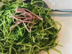 清炒豆苗-松鹤楼·非遗·苏帮菜(融科店)