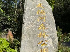-野象谷景区