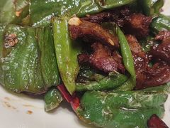 -辛香味烧鱼馆·非遗技艺·排骨红烧肉(光谷医药园店)