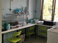 -纳吉亚猫专科动物医院博雅分院