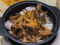 盐焗乳鸽-丰尔粥食·粥底火锅·桑拿鸡(大良总店)