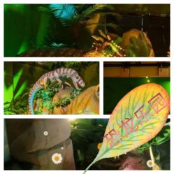 -恐龙探索乐园(磁器口店)