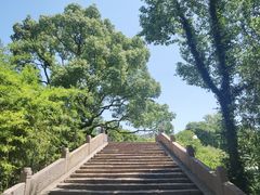 -月湖公园