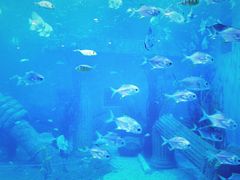 -乌鲁木齐海洋馆