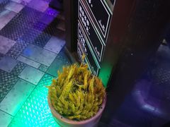 -爱啤精酿·民谣酒馆(滨江店)