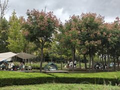 -羊亭河湿地公园