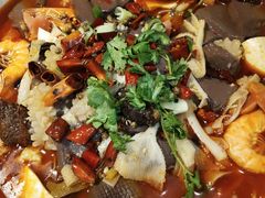 -邵年鸽(杨庄店)