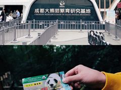 门票-成都大熊猫繁育研究基地