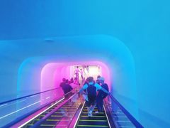 -Free Sky 云际观光层