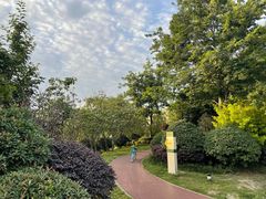 -两河城市森林公园