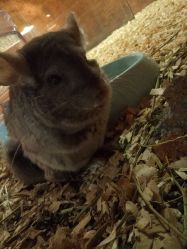 -酷嗒动物文化乐园(cutezoo西溪乐天城店)