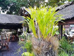 -自然餐厅(Phuket)