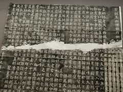 -贵州省博物馆(新馆)