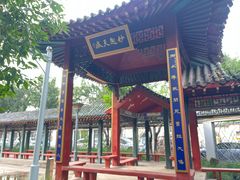 -桃花堤公园