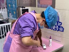 -北京观赏动物医院·24小时大型综合·猫专科·异宠专科